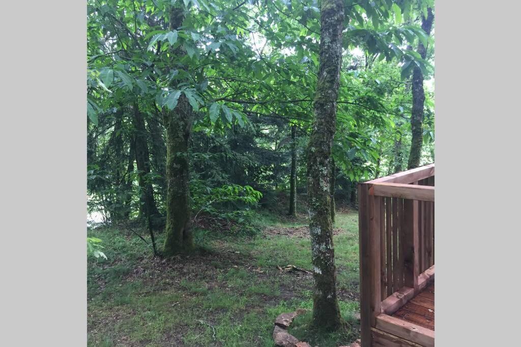 Adorable Cabane Dans Un Espace Boise แซ็งต์-จูเนียง ภายนอก รูปภาพ